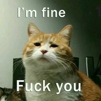 求教荒和彼岸花带啥御魂…好久不上阴阳师随手