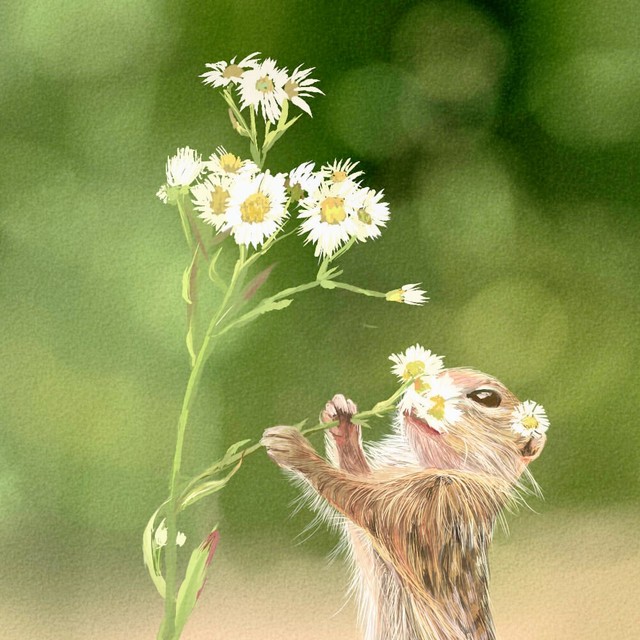 美如画的中二病患者的个人主页 - 半次元 - AC